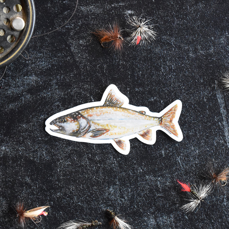 Lake Trout Sticker