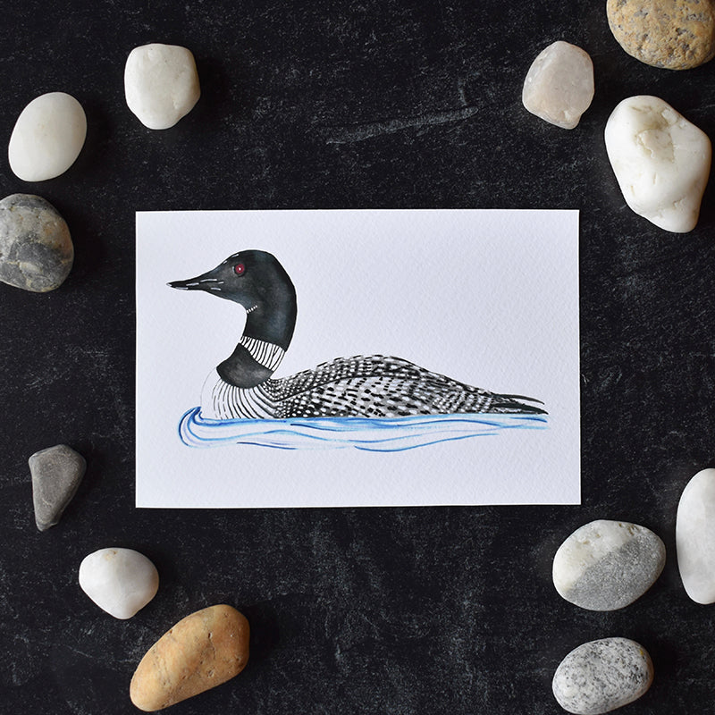 Loon 4x6 Watercolor Print