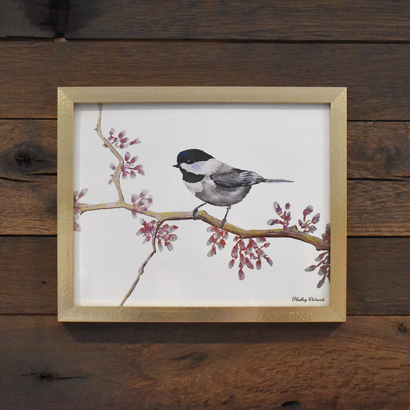 Chickadee 8x10 Watercolor Print