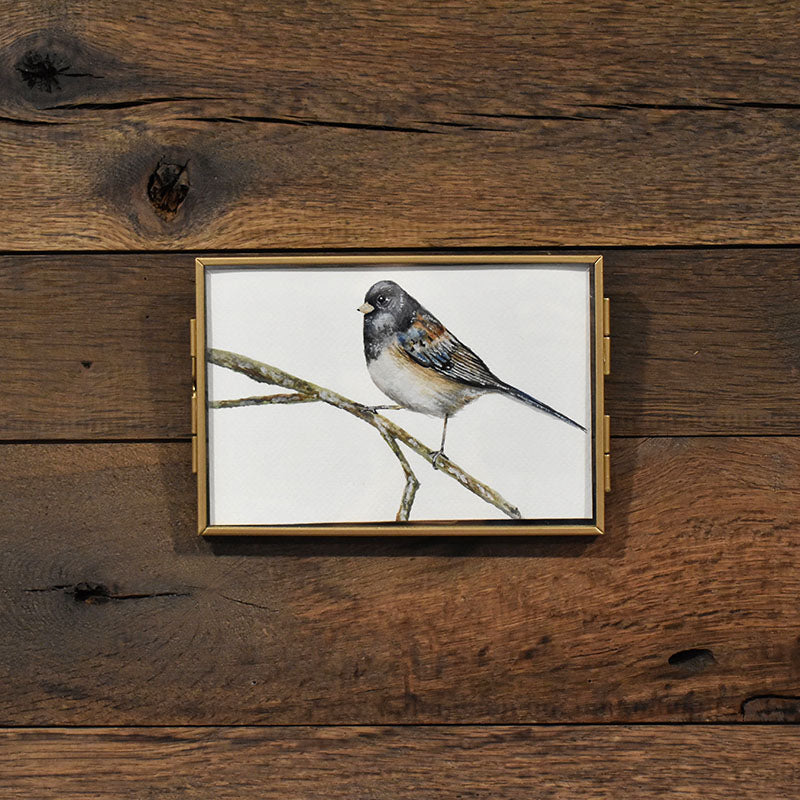 Junco 4x6 Watercolor Print