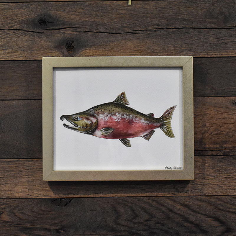 Coho Salmon 8x10 Watercolor Print