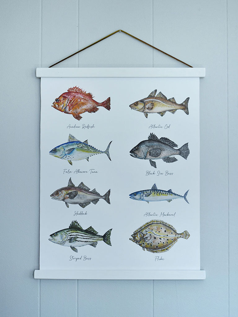 New England Saltwater Fish Canvas Print