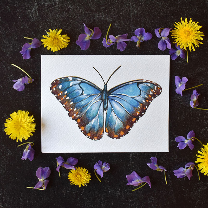 Blue Morpho Butterfly Greeting Cards