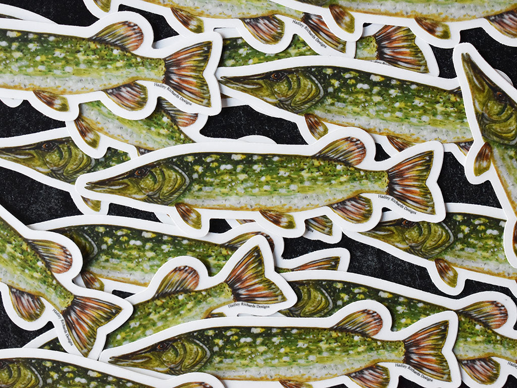 Northern Pike Sticker