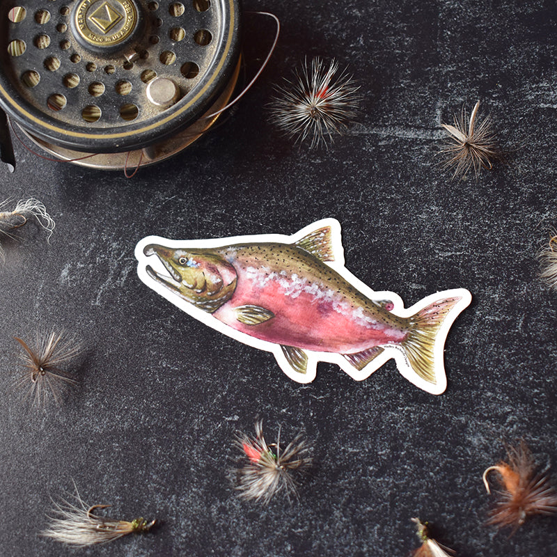 Coho Salmon Sticker