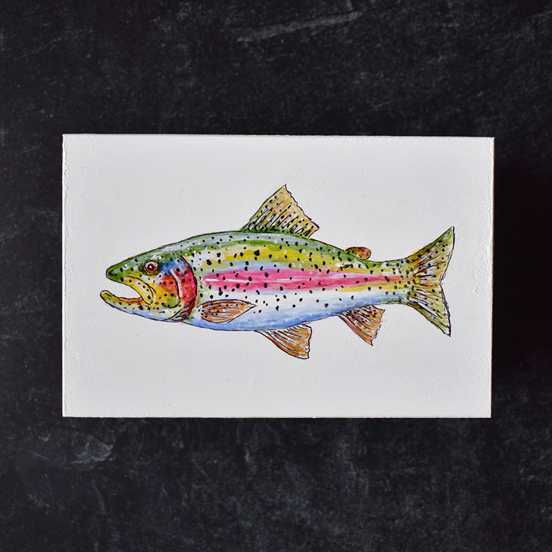 Rainbow Trout Box