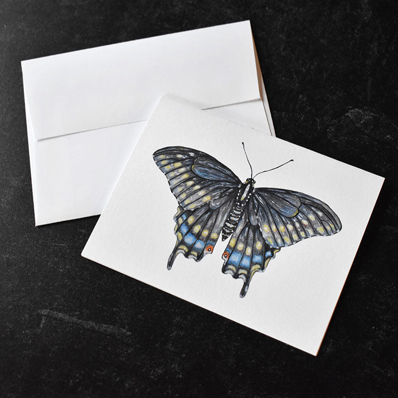 Black Swallowtail Butterfly Greeting Cards
