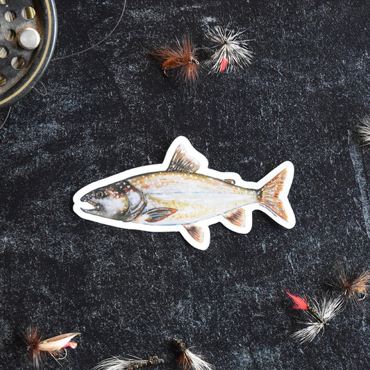 Lake Trout Sticker