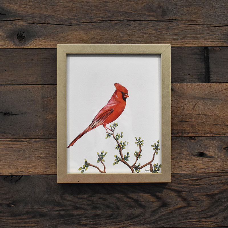 Cardinal 8x10 Watercolor Print