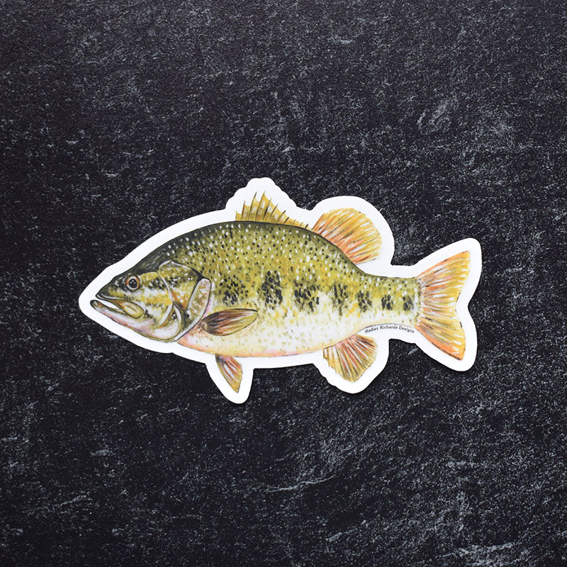 Large Mouth Bass Sticker