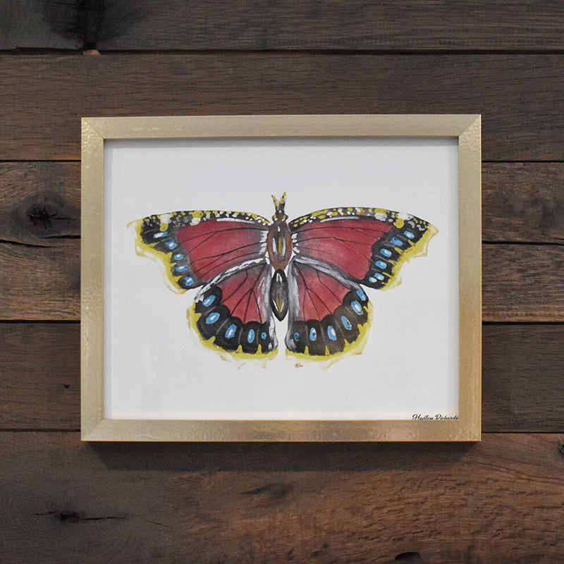 Mourning Cloak Butterfly 8x10 Watercolor Print