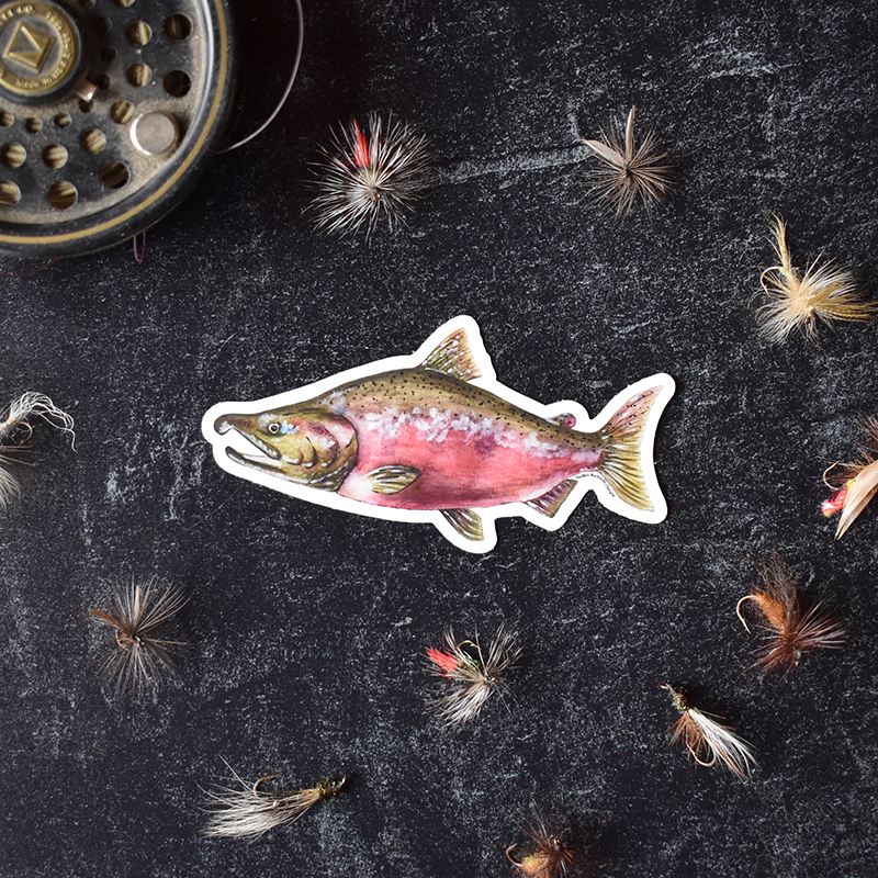 Malmon Sticker Coho Salmon Sticker – Hadley Richards Designs