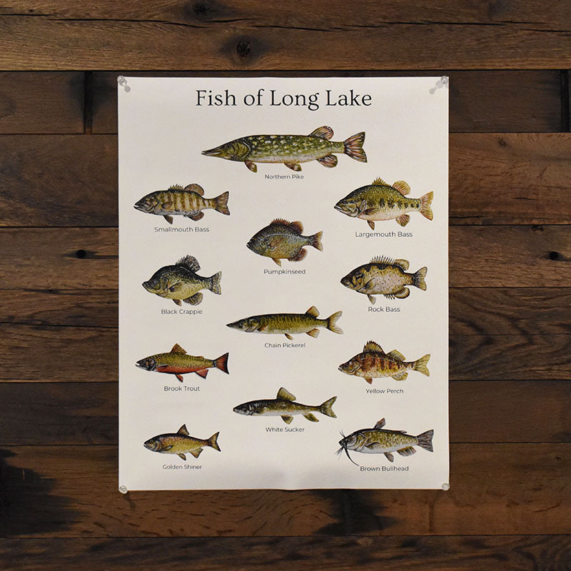 Fish of Long Lake Poster