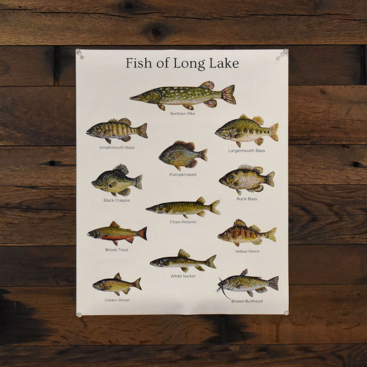 Fish of Long Lake Poster