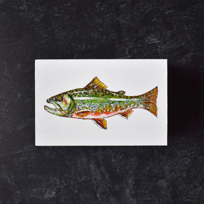 Brook Trout Box