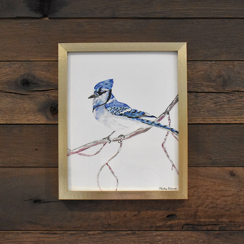 Blue Jay 8x10 Watercolor Print