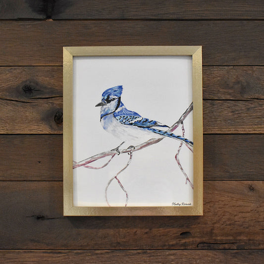 Blue Jay 8x10 Watercolor Print
