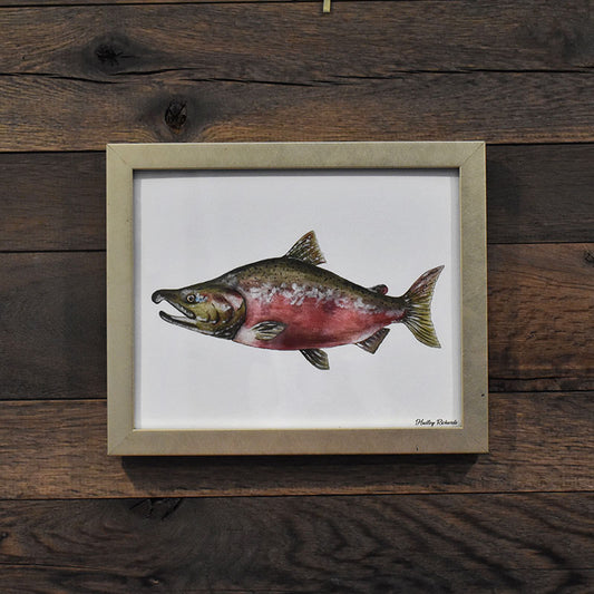 Coho Salmon 8x10 Watercolor Print