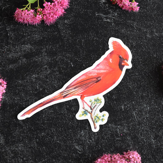 Cardinal Sticker