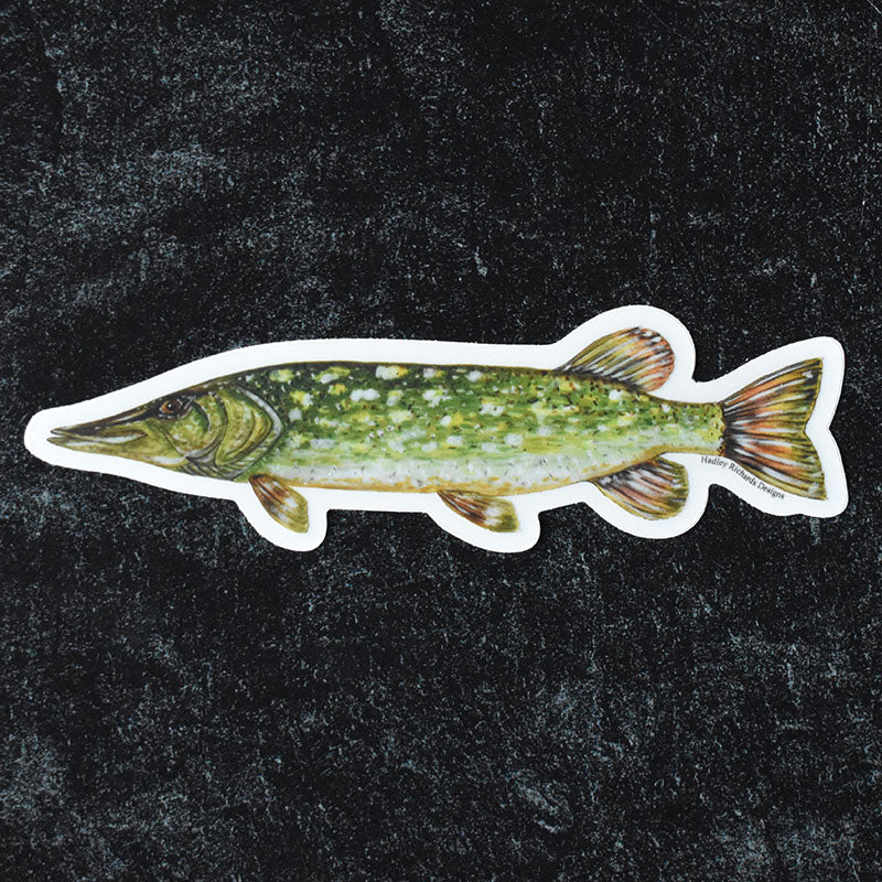 Northern Pike Sticker