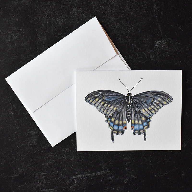 Black Swallowtail Butterfly Greeting Cards