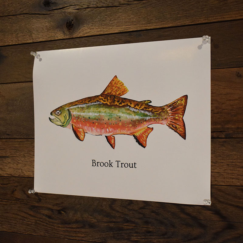 Brook Trout Poster
