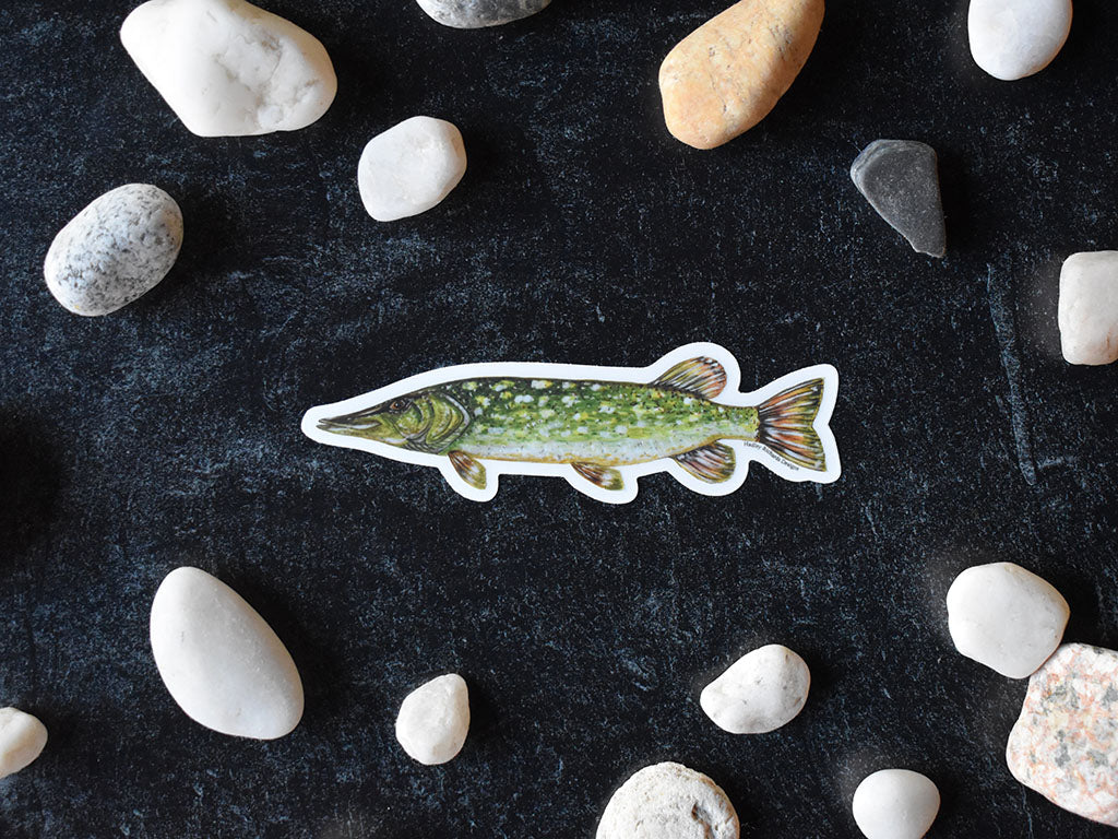 Northern Pike Sticker