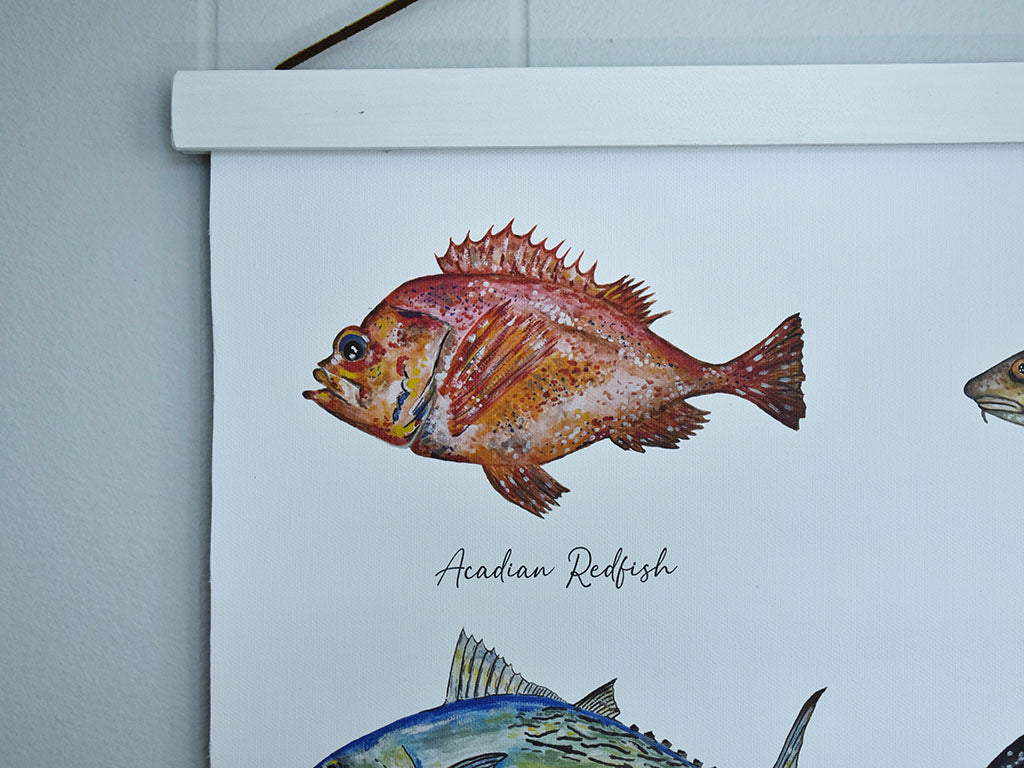 New England Saltwater Fish Canvas Print