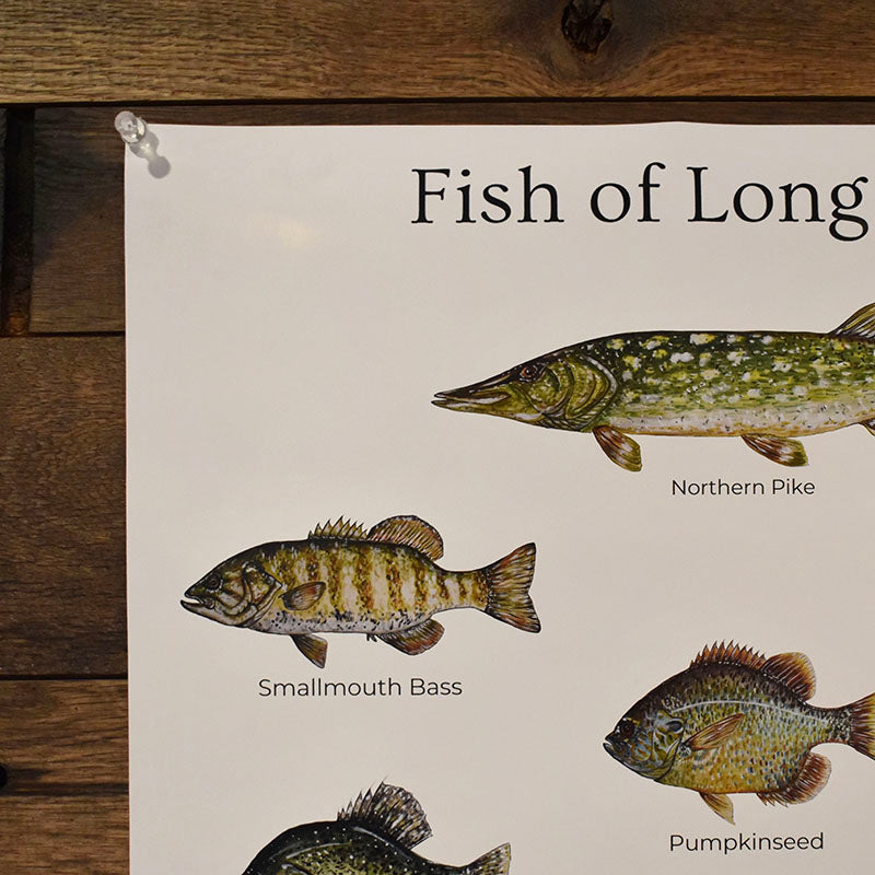 Fish of Long Lake Poster